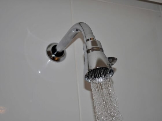 featured image - What is the Plate Behind the Shower Handle Called