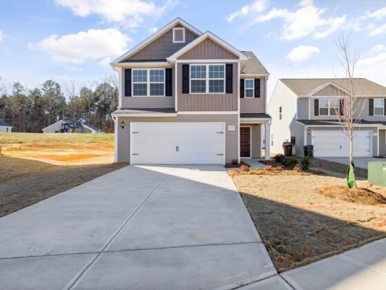 featured image - From Driveways to Dreams: the Concrete Paving Solution