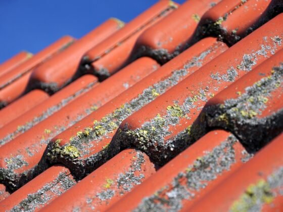 featured image - The Link Between Gutters and Roof Health: What You Need to Know