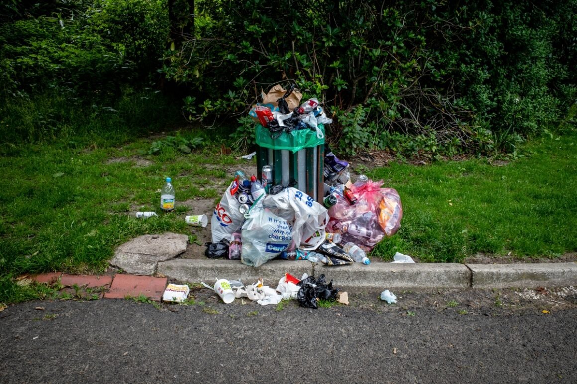 featured image - Home Improvement: Mastering Rubbish Removal