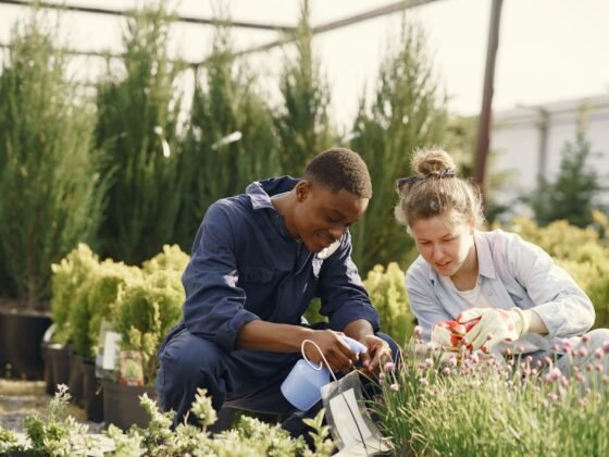 featured image - 5 Essential Jobs to Tackle in Your Allotment Garden This March