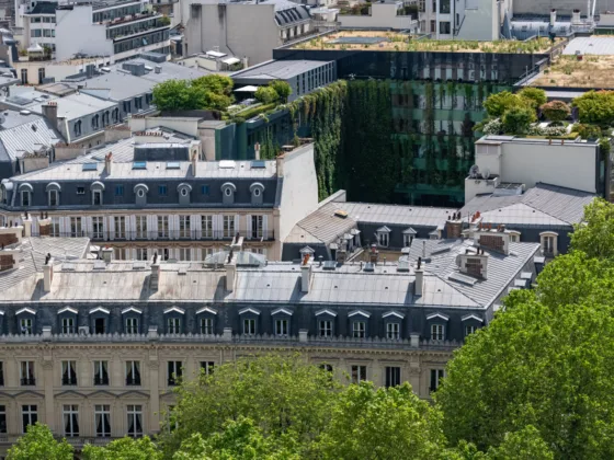 How To Style Your Small Space Like A Paris ‘Chambre de Bonne'?