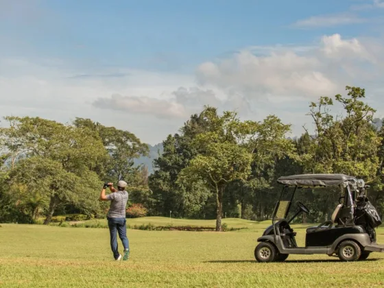 Electric carts are quiet and low-cost, while gas carts handle rough terrain and long trips.