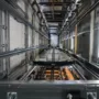 Close-up of heavy-duty industrial lift components and steel guide rails inside a commercial elevator hoistway